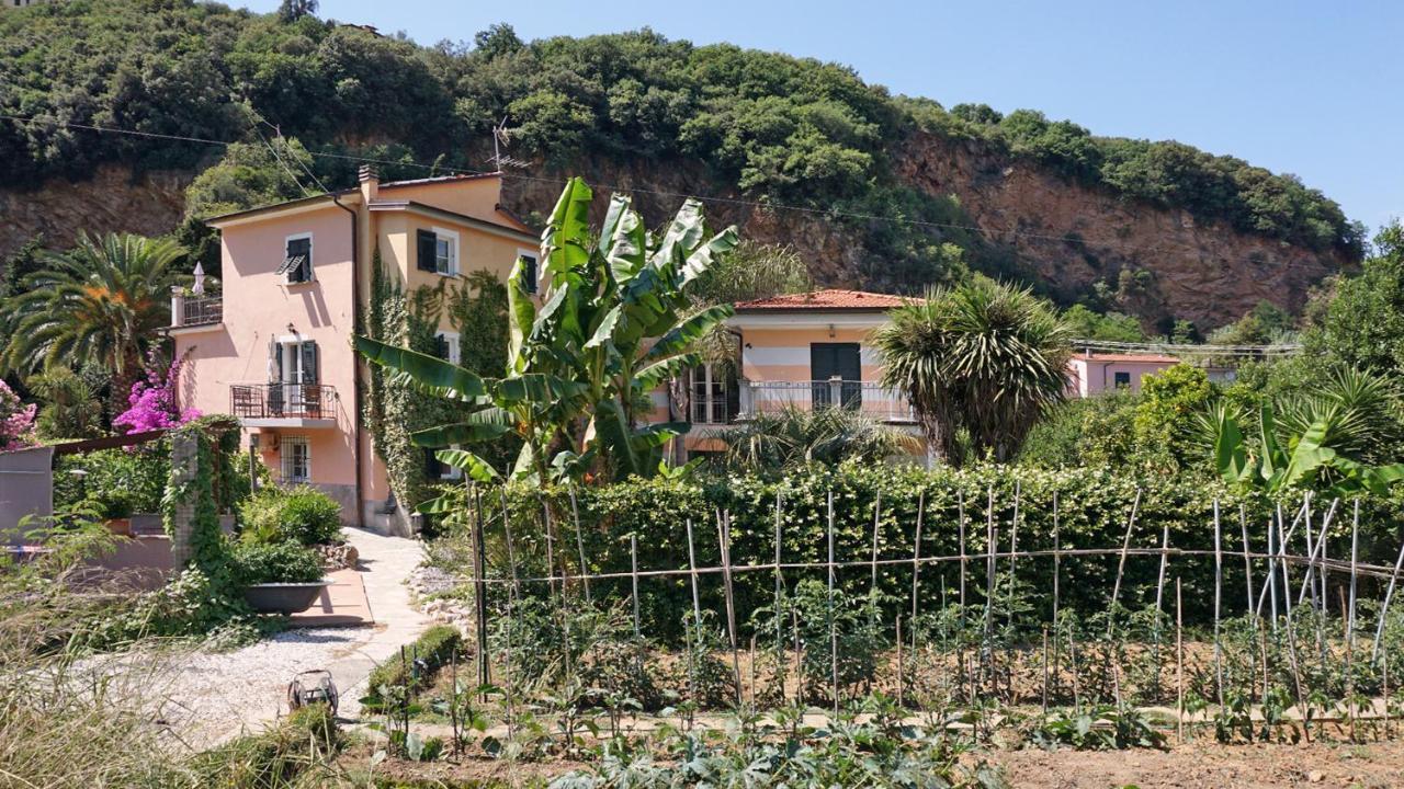 La Musa Lerici Luaran gambar